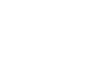 Fluxus-Executor-Logo